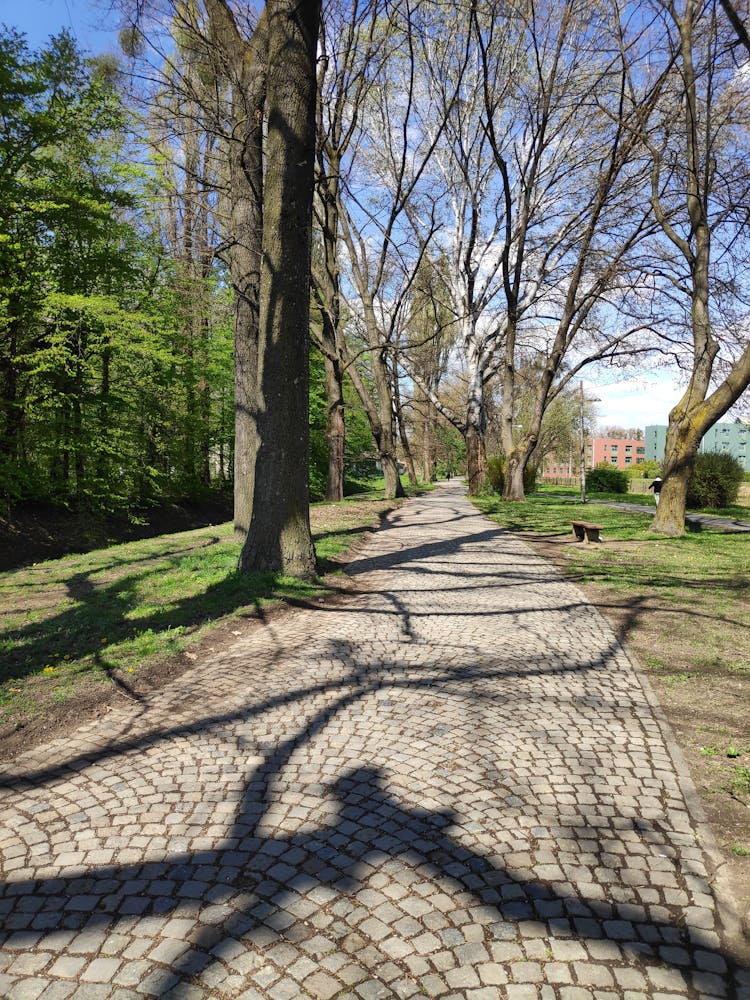 A Cobblestone Pathway At A Park