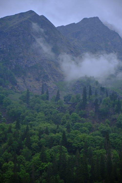 Kostnadsfri bild av berg, dimma, drönarbilder
