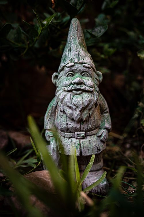 Free A detailed close-up of a charming garden gnome surrounded by lush leaves. Stock Photo
