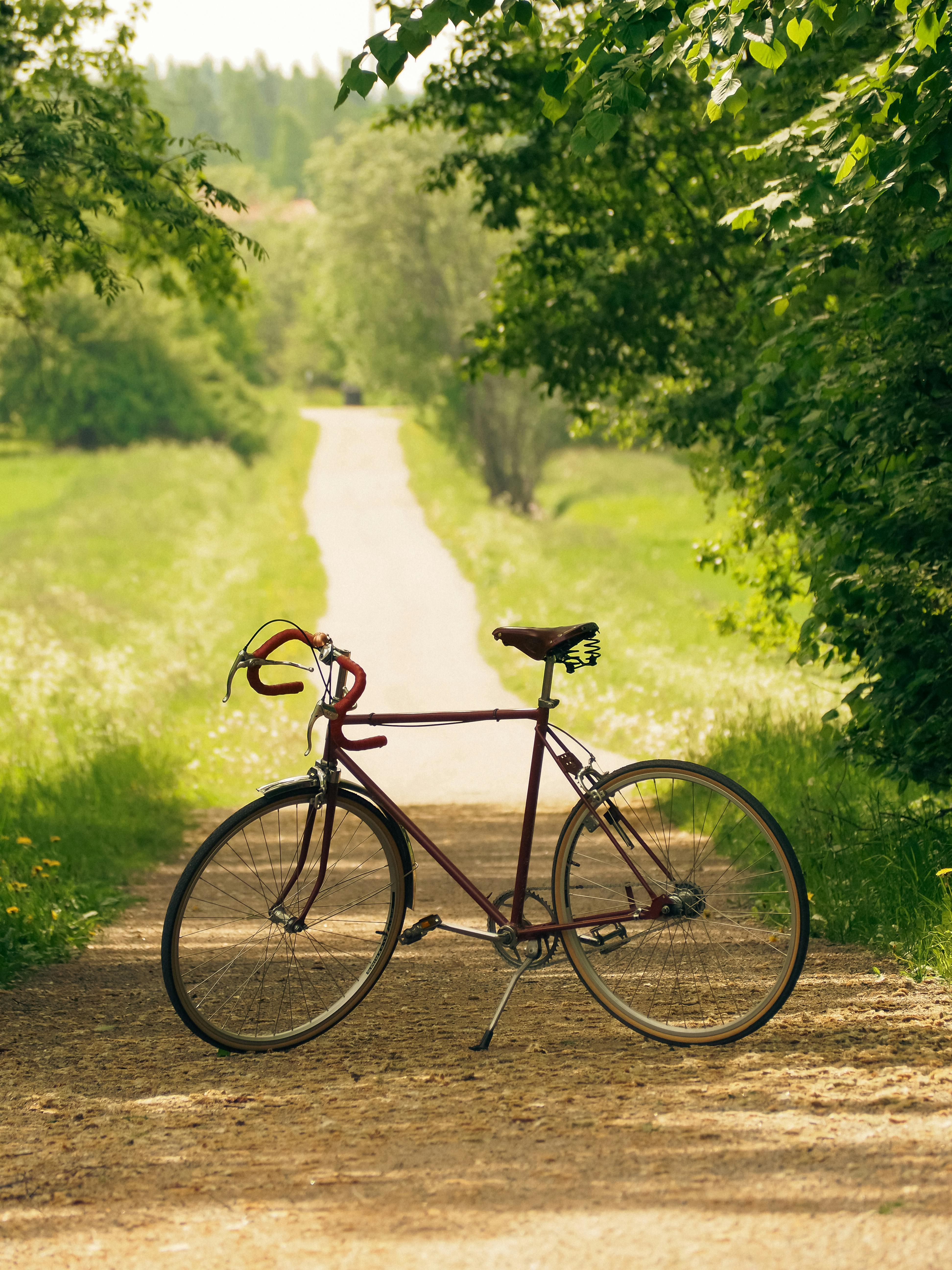 Bicycle on Dirt Road in Summer · Free Stock Photo