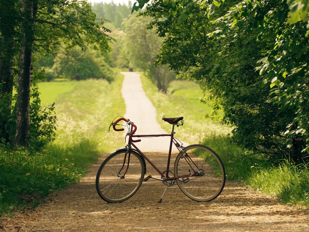 Photo of a Bicycle on a Path ยท Free Stock Photo