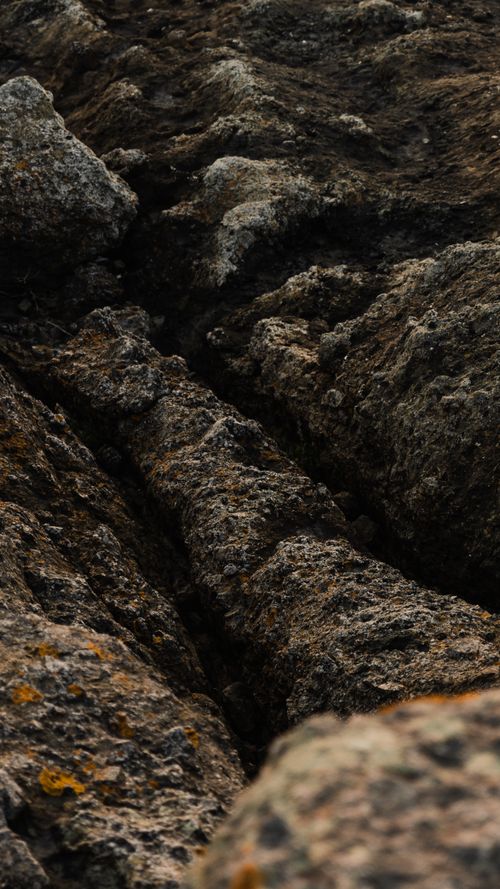Free Explore the intricate textures and formations of rugged rock surfaces in natural crevices. Stock Photo