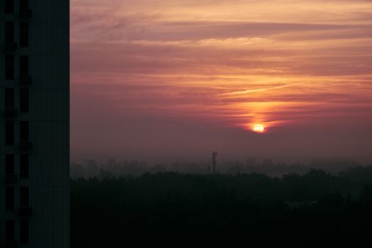 Serene cityscape view during sunrise with silhouetted trees and a warm sky, offering a moment of tranquility.