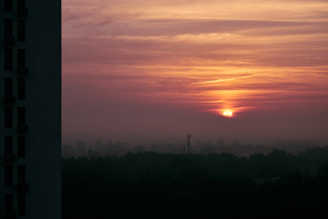 Foto profissional grátis de alvorecer, Hora dourada, nascer do sol