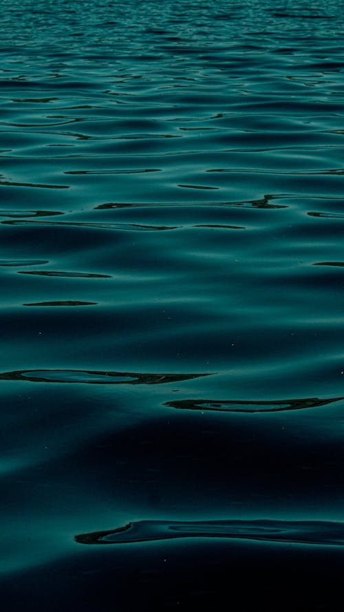 Free A Close-Up Shot of the Surface of the Ocean Stock Photo