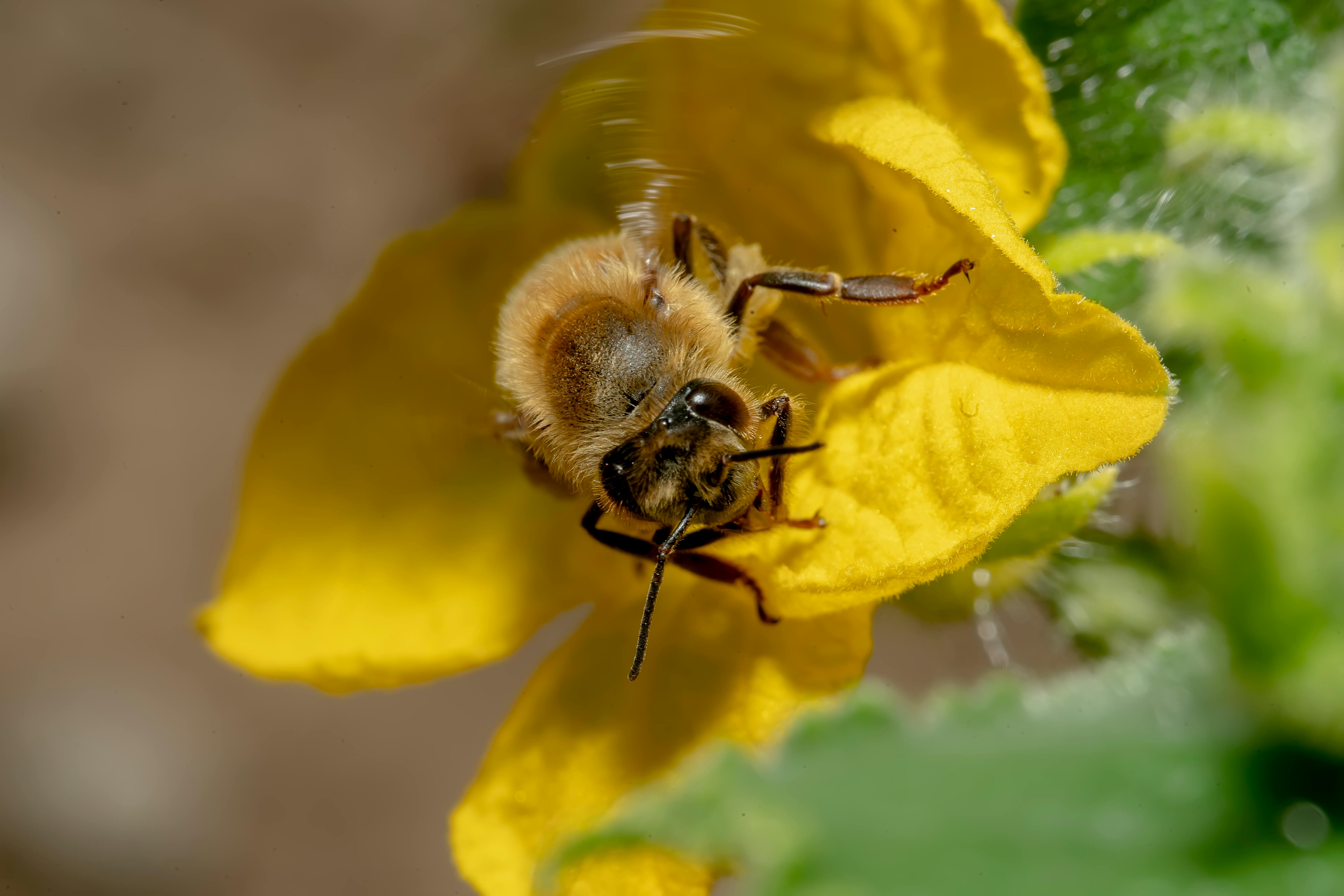 Ark Valley Civics Bee Competition to Send Three Local Students to State — Photo by Akbar Nemati on Pexels