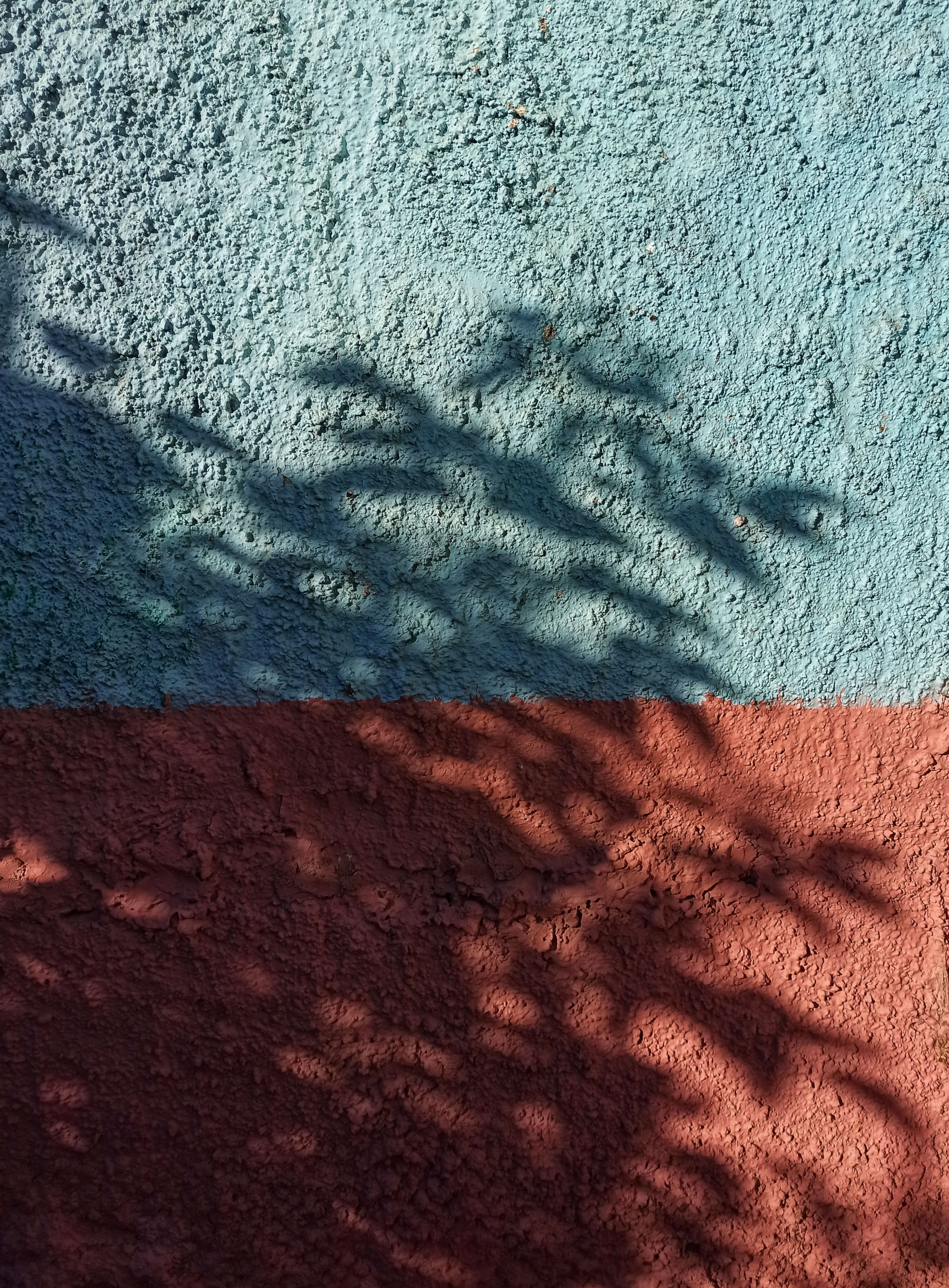 Shadows of plants cast on a textured, two-tone painted wall.
