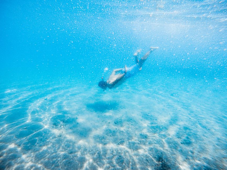 Menyelami Keindahan Laut Kaltim: Surga Tersembunyi Para Penyelam Menyelami Keindahan Laut Kaltim: Surga Tersembunyi Para Penyelam