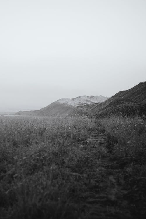 Grassland and Hill in Black and White