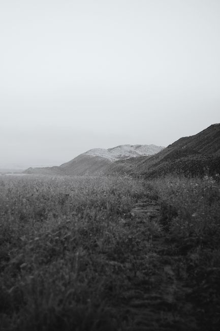 A tranquil black and white image of a hillside landscape under a clear sky, perfect for a serene ambiance.