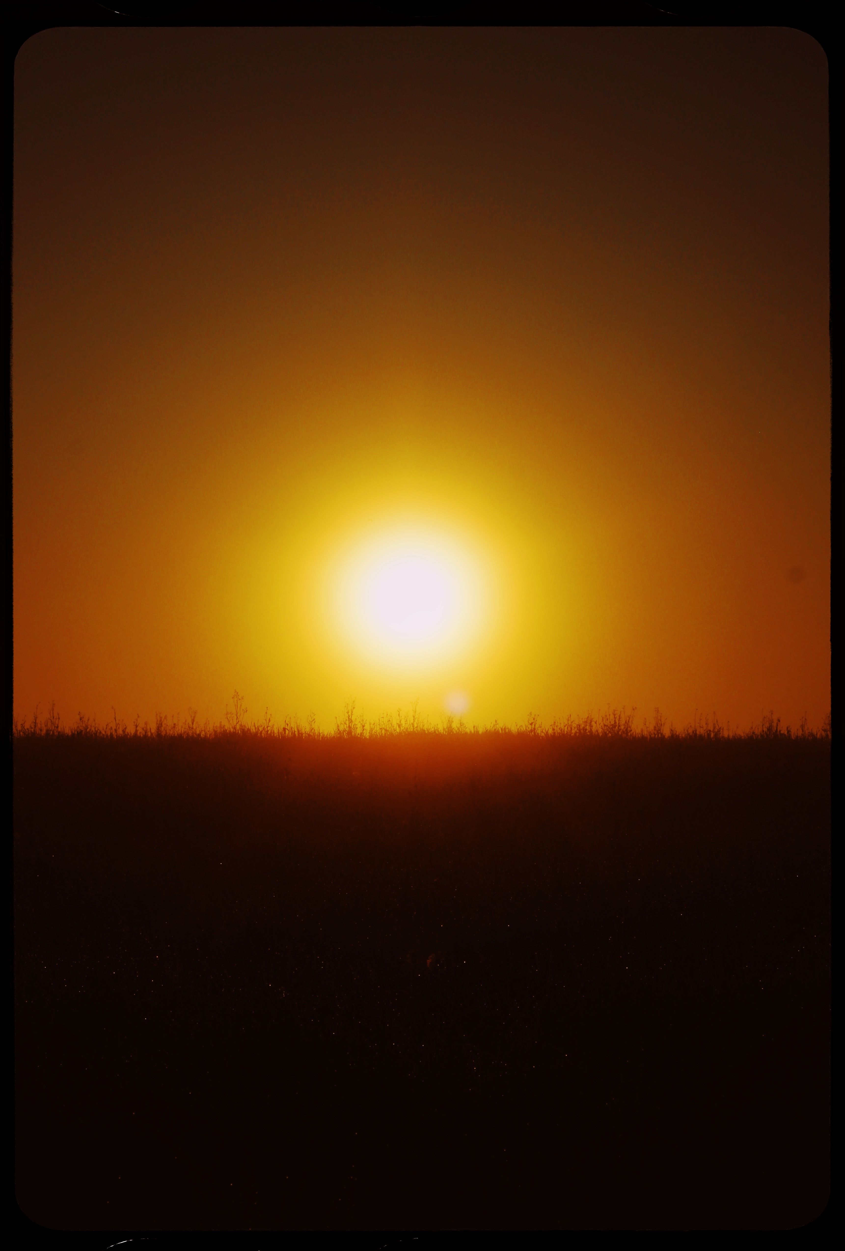 A breathtaking view of the sun setting over a grassy field, capturing the beauty of golden hour with dramatic silhouettes.