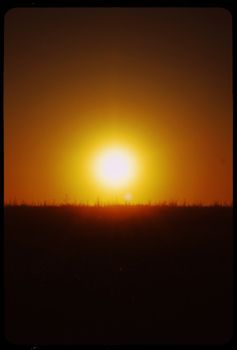 A breathtaking view of the sun setting over a grassy field, capturing the beauty of golden hour with dramatic silhouettes.