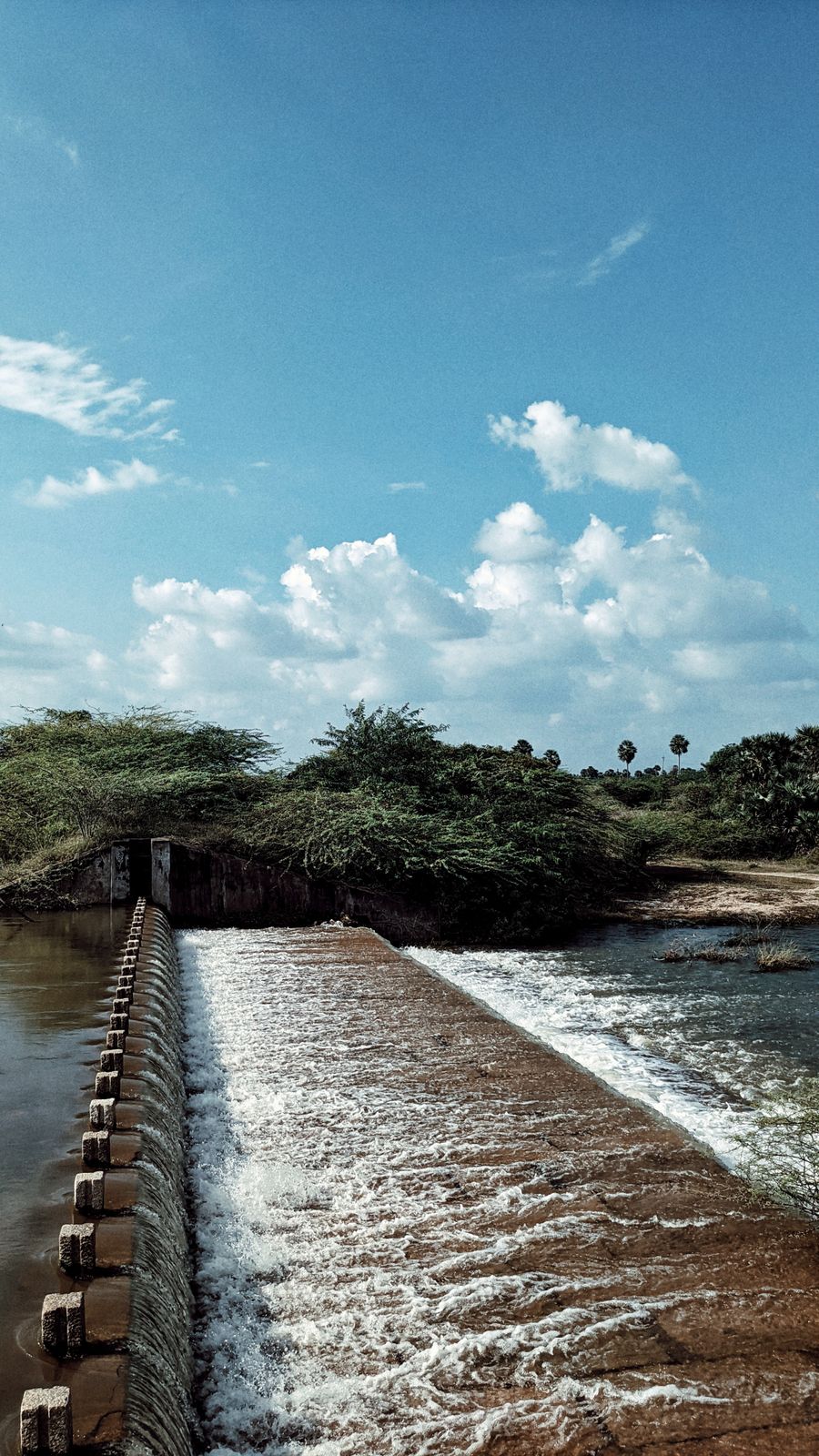 Porthamarai Kulam photo 3