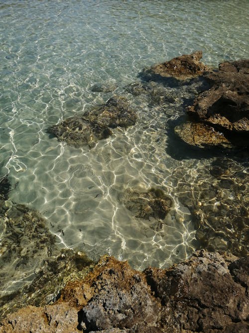 deniz, deniz kıyısı, dikey atış içeren Ücretsiz stok fotoğraf