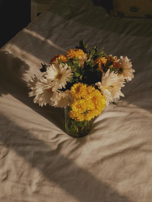 A beautiful bouquet of chrysanthemums on a sunlit surface, perfect for spring decor inspiration.
