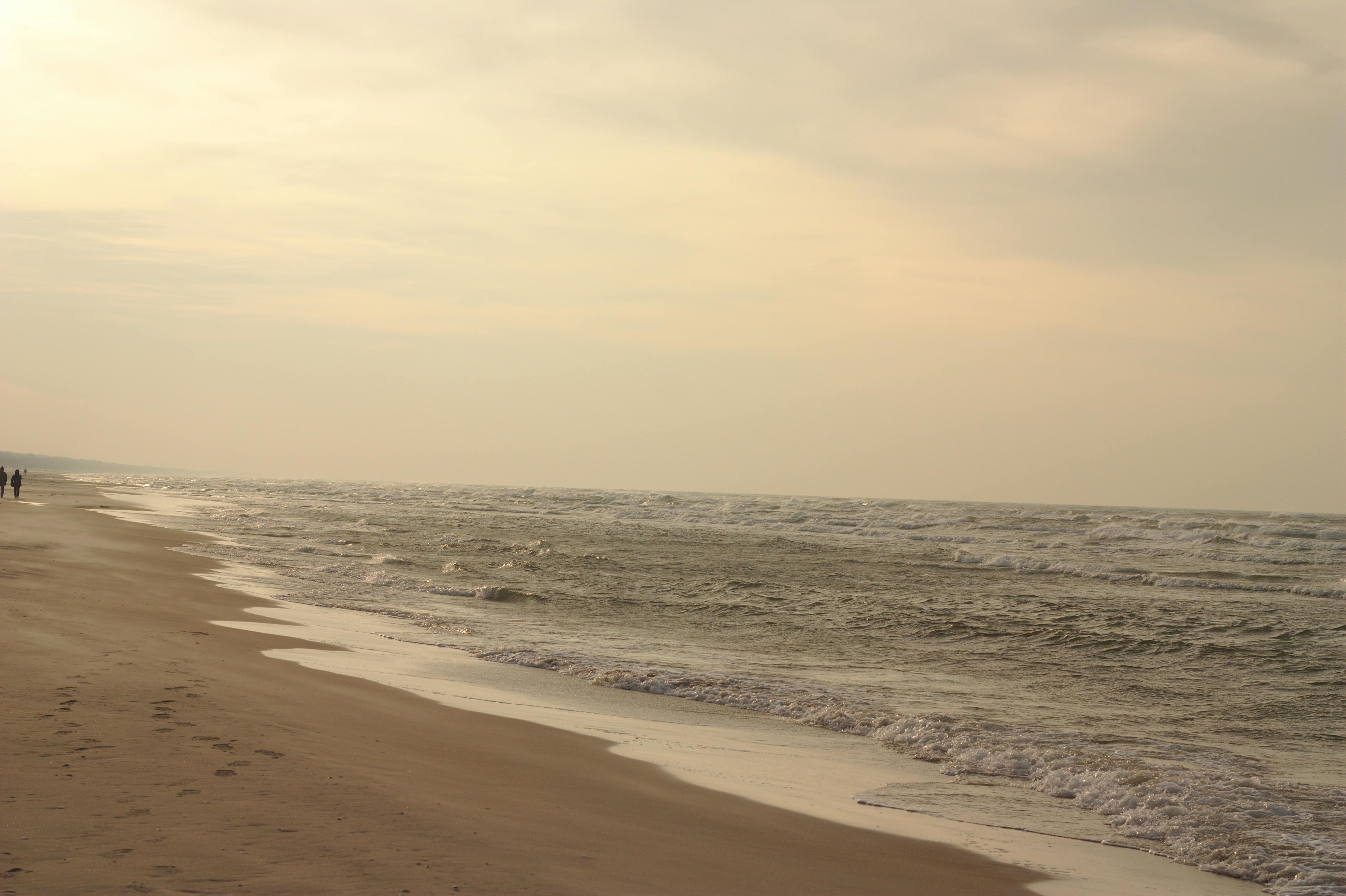 Commercial Pest Control on Arthur Avenue: Protecting Belmont's Restaurant Row