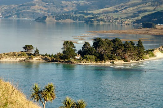 A tranquil island scene with lush trees and calm blue waters, perfect for nature lovers.