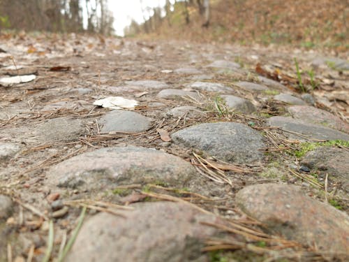 Darmowe zdjęcie z galerii z droga, kamień