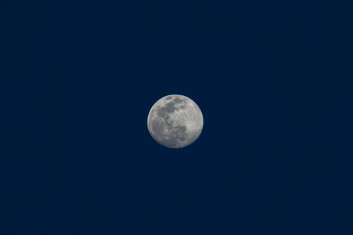 Free Captivating full moon against a deep blue night sky, emphasizing lunar details. Stock Photo