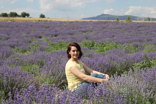 Foto stok gratis berkembang, bidang bunga, bunga lavender