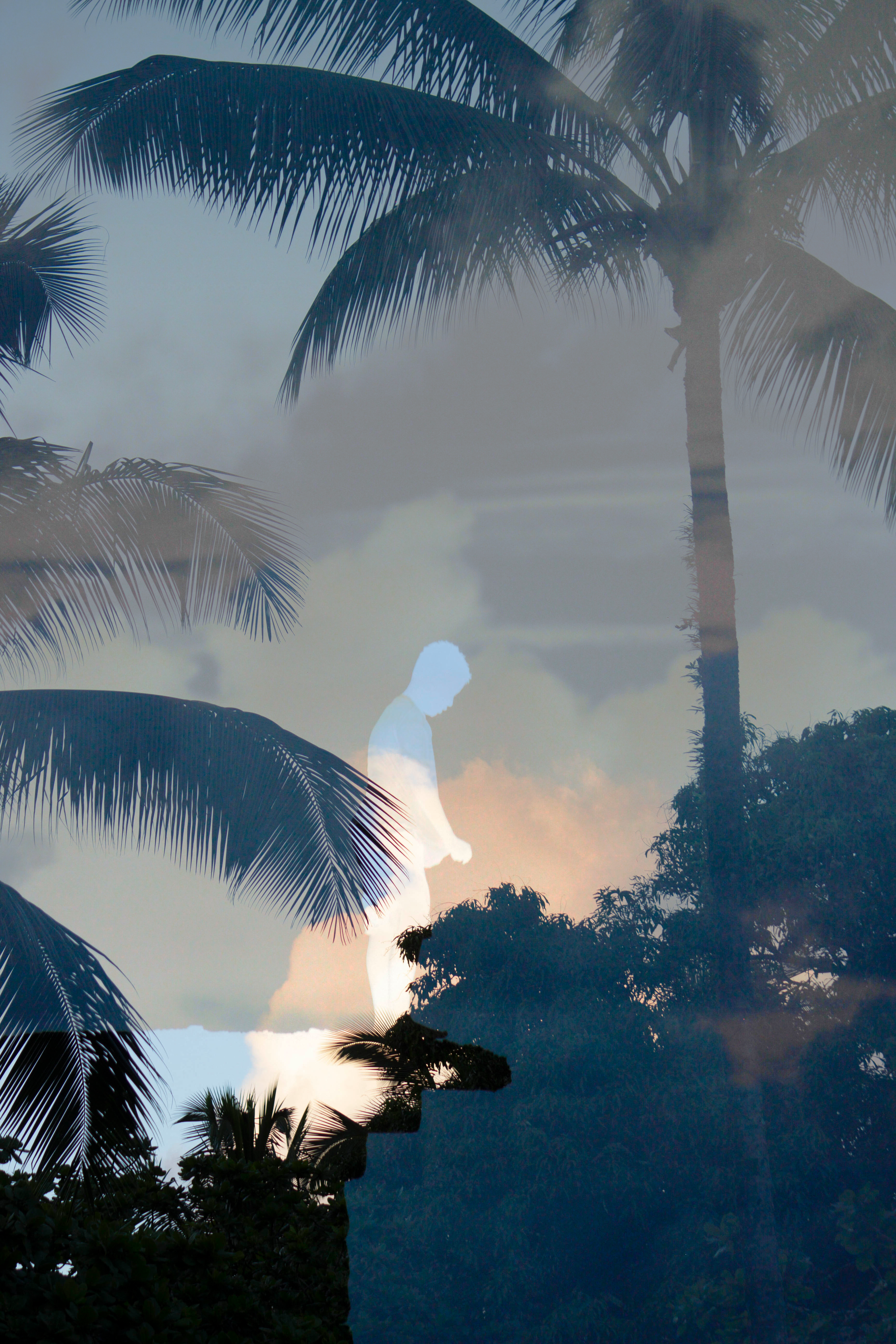 Double exposure of a ghostly figure with Hilo's palm trees at twilight, evoking mystery.