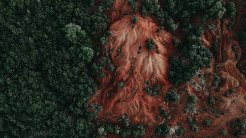 Immagine gratuita di alberi, bellezza nella natura, colline