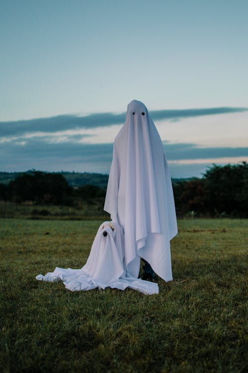 Pet Owner and Dog in White Sheets Pretending Ghosts · Free Stock Photo