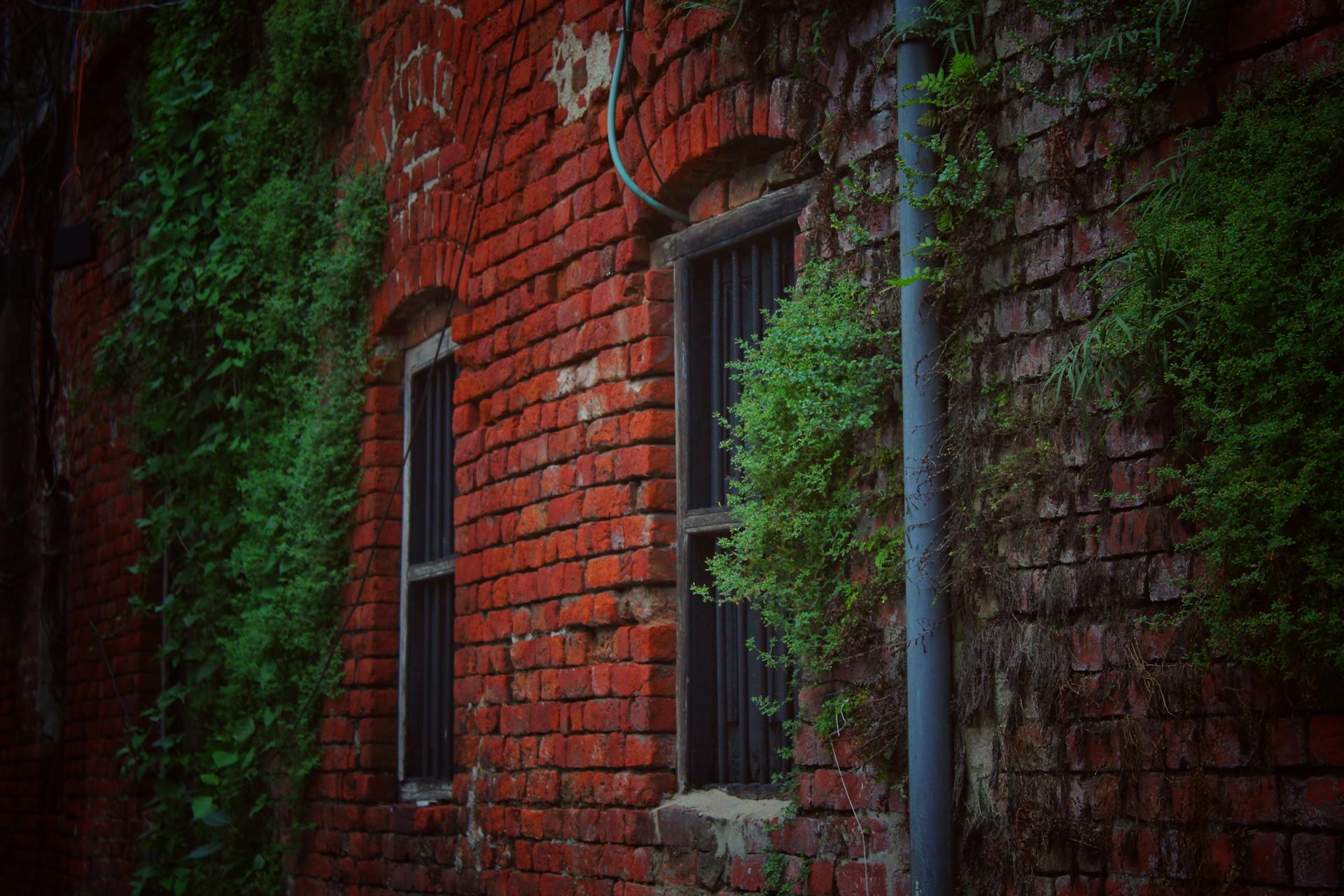 Red brick wall exterior with ivy growing on it, featuring small windows.