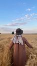 Free stock photo of farm, harvest, spike