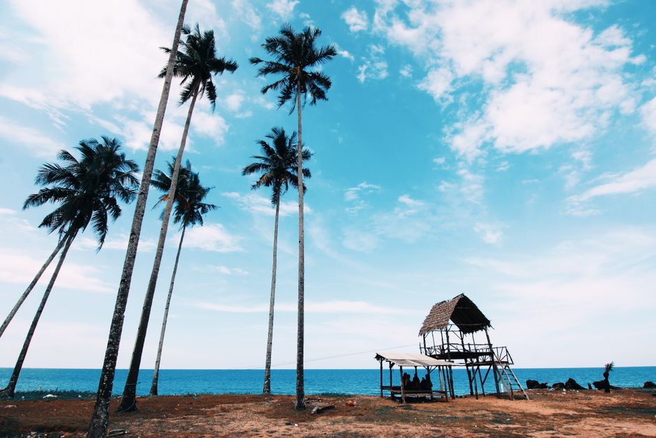 Idyllic beach scene featuring palm trees, a nipa hut, and a clear blue sky.