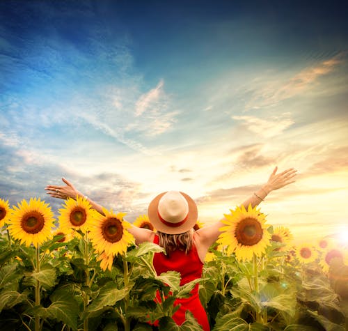 Free stock photo of hat, open arms, sky