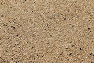 特写镜头清晰地展现了沙滩表面的纹理和细小的鹅卵石