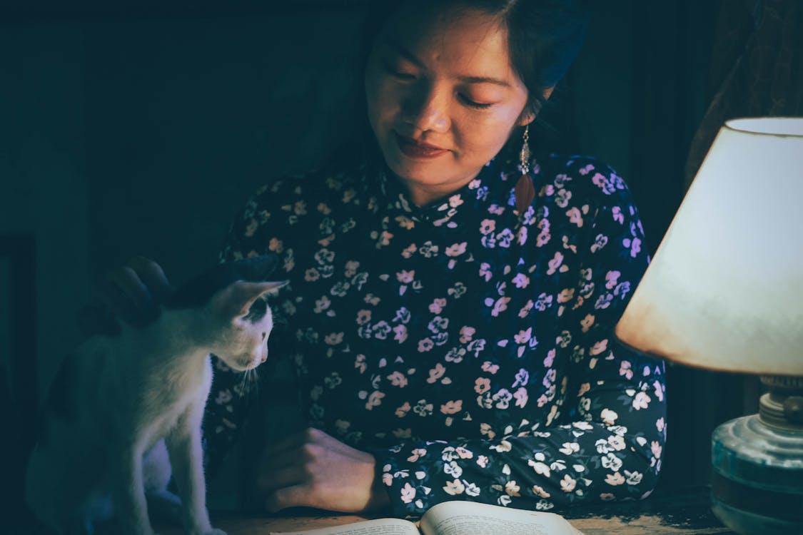 Женщина ласкает кошку во время чтения книги при свете настольной лампы в темноте