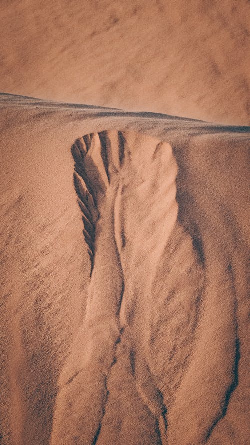 Top View of a Dune in a Desert