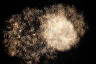 夜空中，充满活力的烟花绽放，捕捉到了庆祝与欢乐的精髓