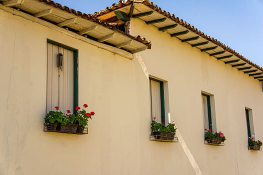 Colonial house facade in Mariana, Brazil, featuring flower pots on windows under clear skies.