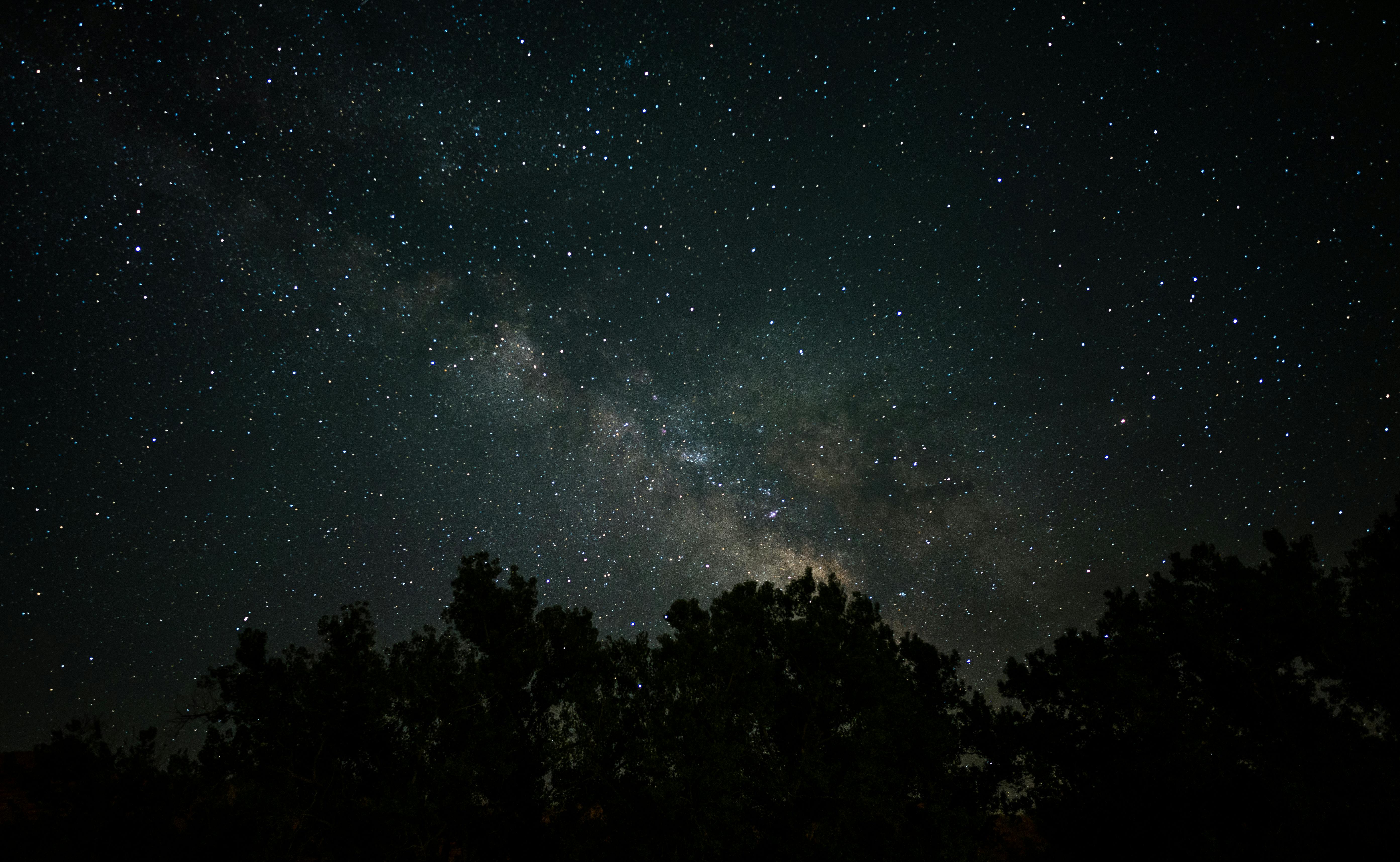 Stunning photograph capturing the Milky Way galaxy above a silhouetted forest at night.