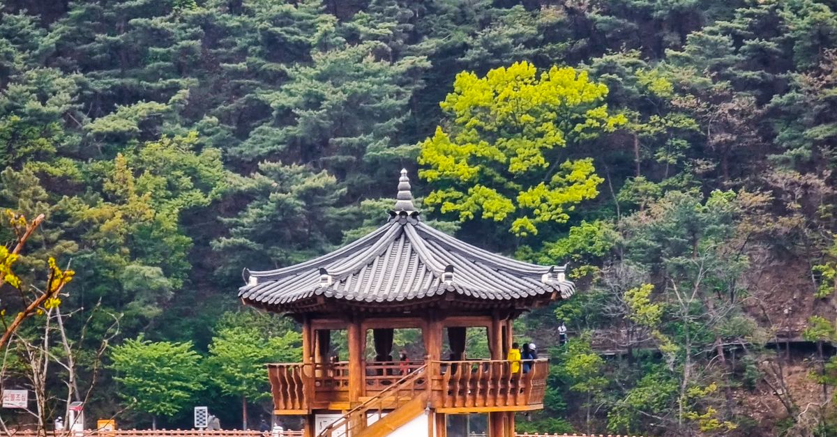 1 추경호 대구시장 폭염 중대경보 발령에 현장 안전 점검 실시