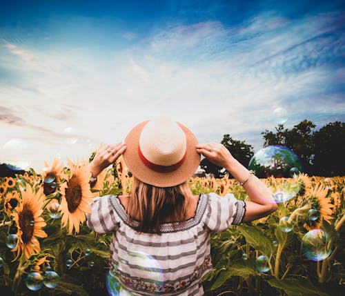 Free Standing Woman Surrounded of Sunflowers Stock Photo
