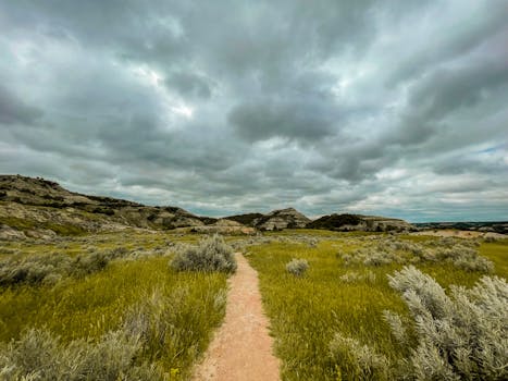 Explore the serene landscape of North Dakota with a dirt path through lush fields and cloudy skies.