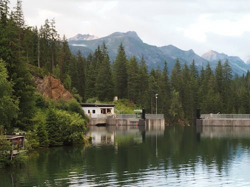 Kostnadsfri bild av berg, flod, gröna träd