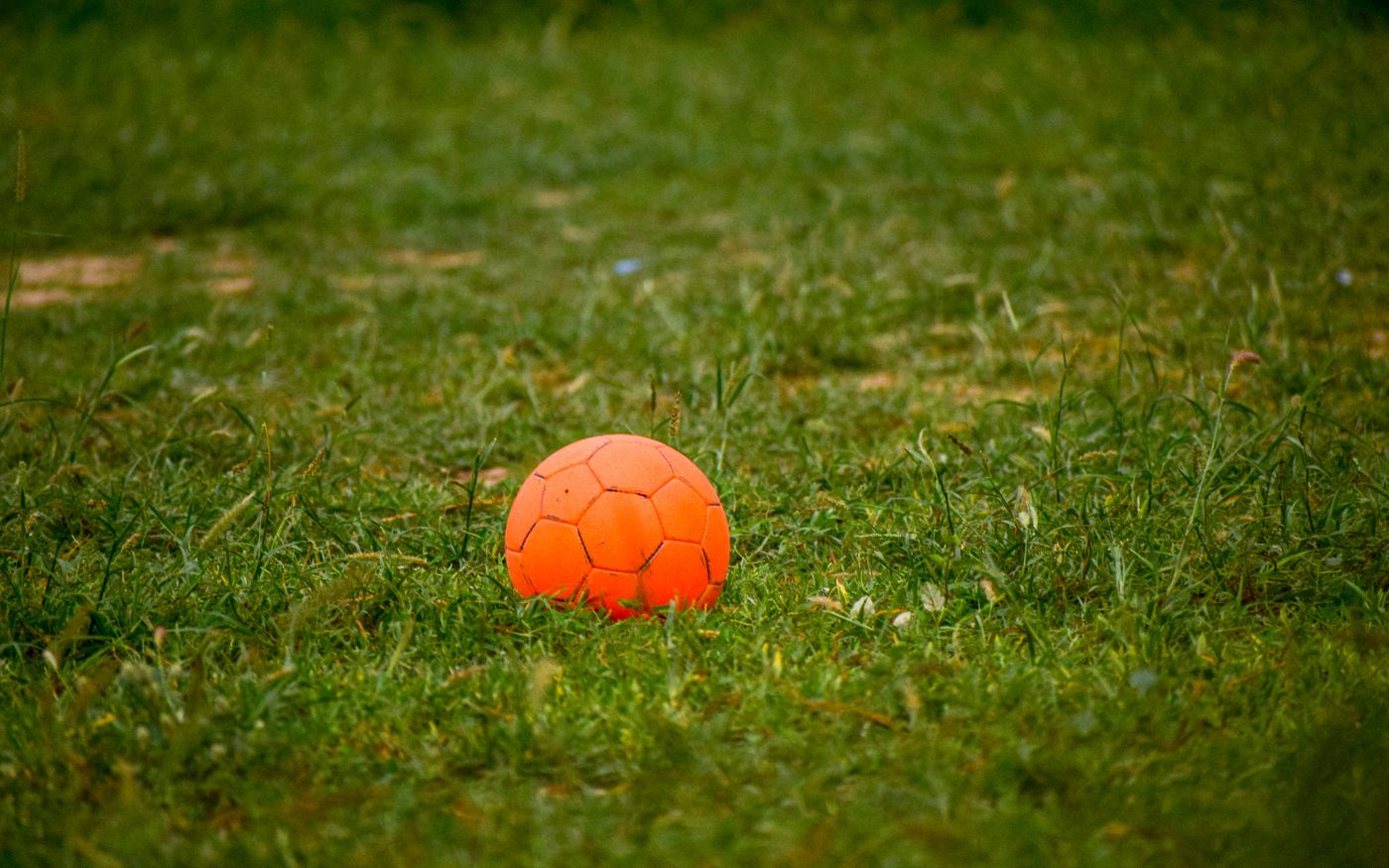 Orange ball resting on a grass field