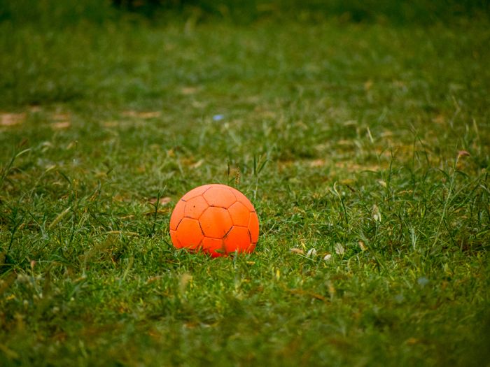 Orange ball resting on a grass field