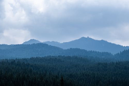 Free Majestic mountainous landscape with dense forest in Xinjiang, China, under cloudy skies. Stock Photo