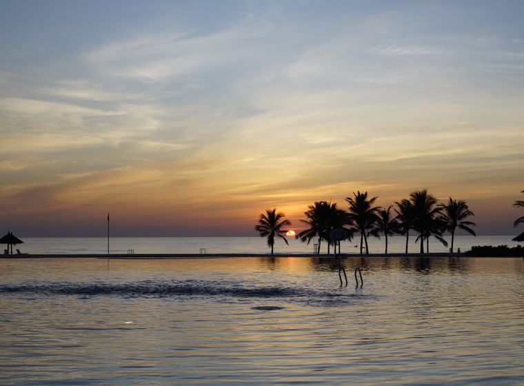 Palm silhouettes and a still infinity pool just after sunset