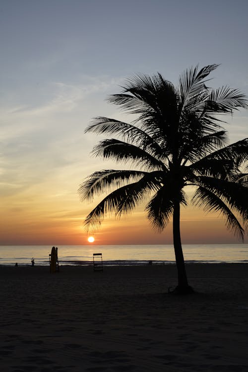 Foto profissional grátis de à beira-mar, alvorecer, beira mar