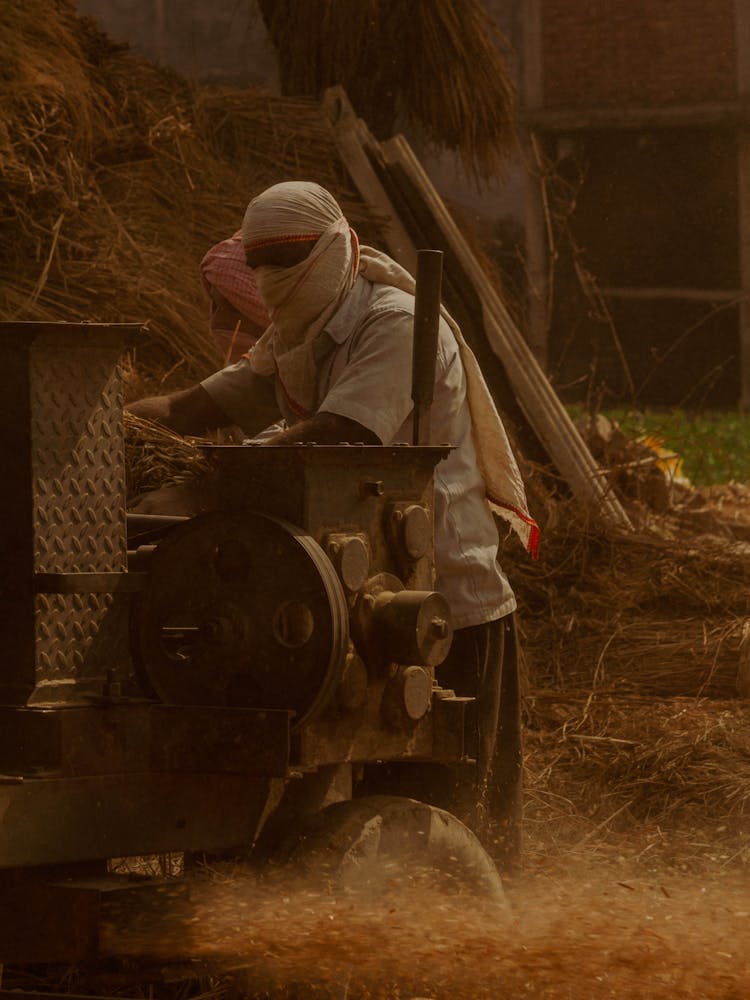 Farmers Using A Threshing Machine