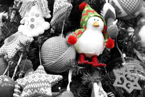 Free stock photo of christmas Stock Photo