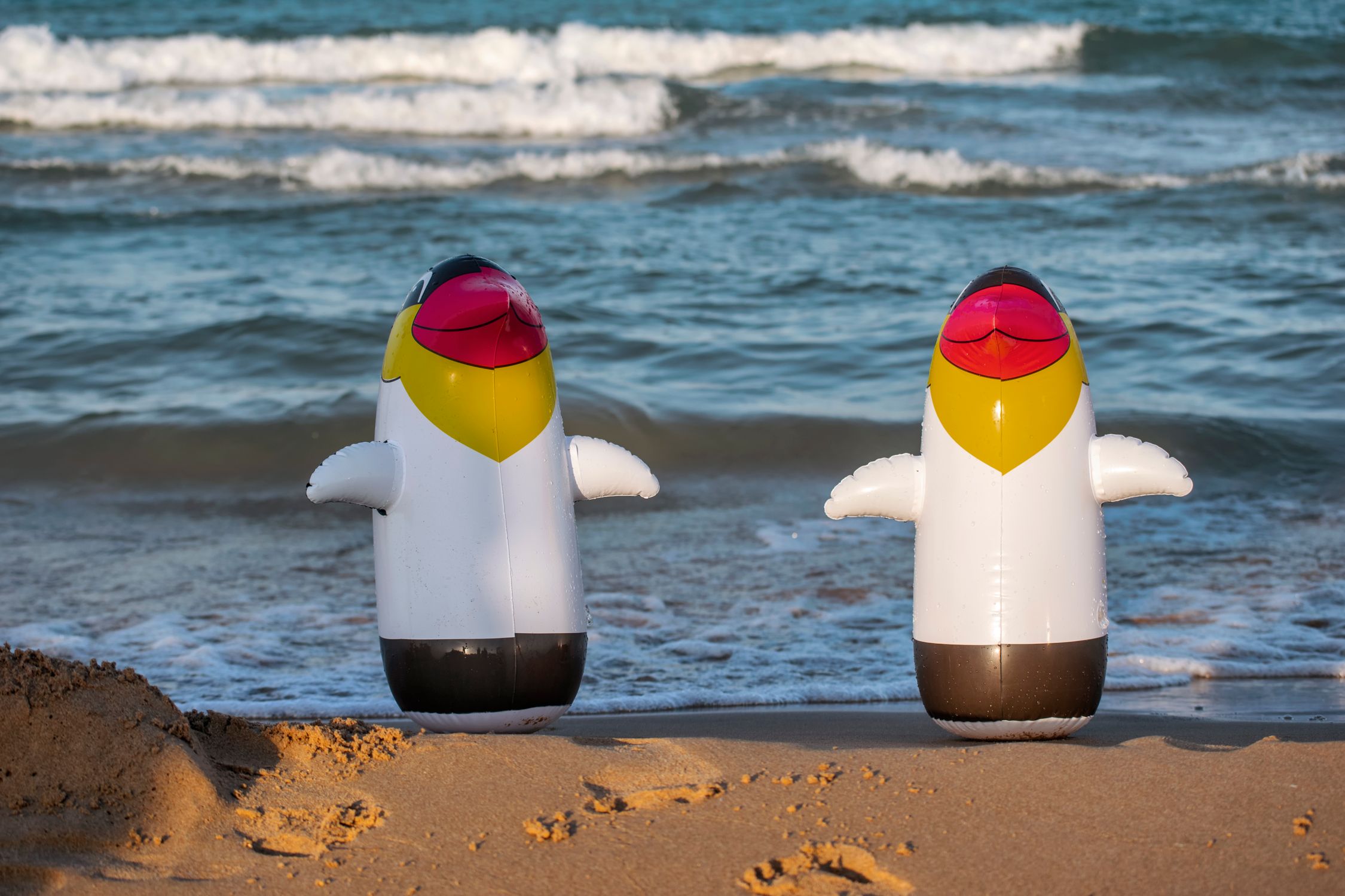 Small Inflatable Penguin Inflatable Penguin Toys on Beach Shore · Free Stock Photo