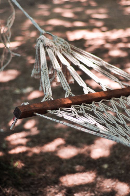 A Wood and Rope Hammock